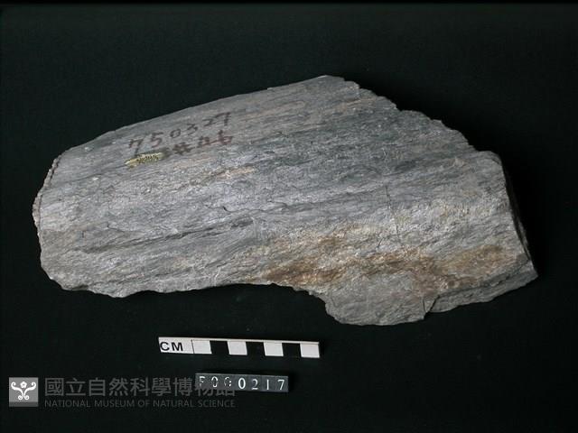 片岩藏品圖，第1張