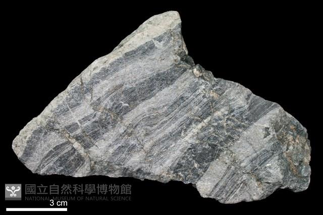 矽質片岩藏品圖，第1張