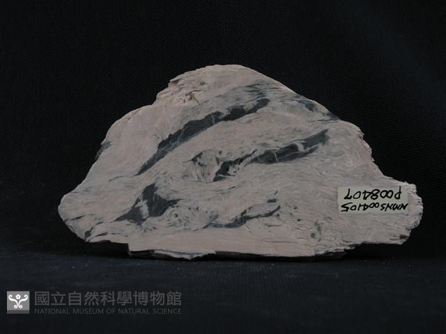 蛇紋岩,石棉藏品圖，第1張