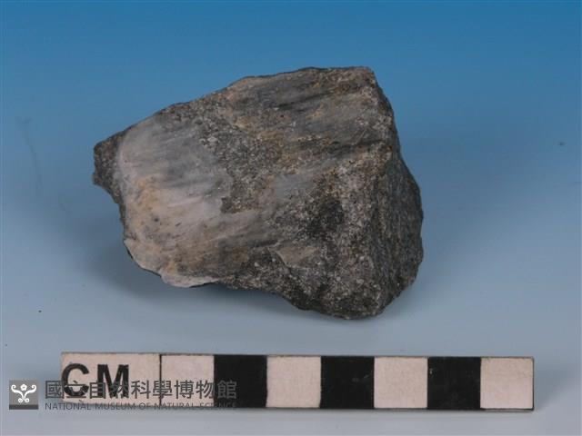 變質砂岩藏品圖，第1張