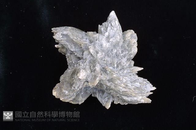 石膏藏品圖，第1張
