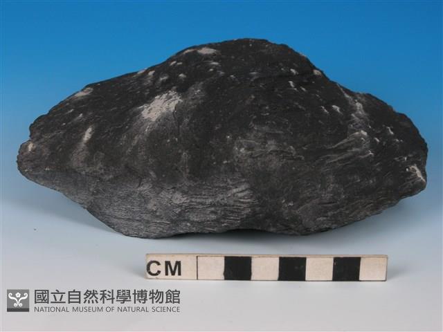 硬頁岩藏品圖，第1張
