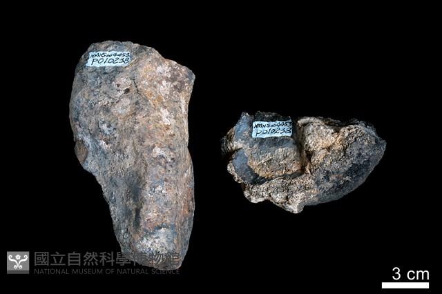 錳核藏品圖，第1張