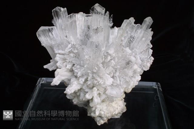 透石膏藏品圖，第1張
