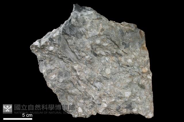 變質礫岩藏品圖，第1張
