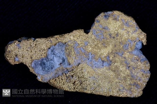 自然金藏品圖，第1張