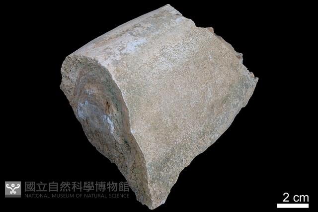 鐘乳石藏品圖，第1張