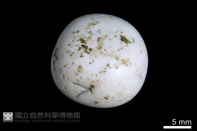 洞穴珍珠藏品圖，第1張