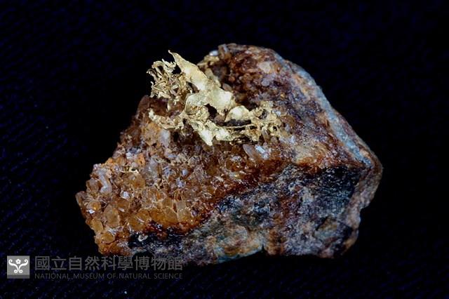 自然金藏品圖，第1張