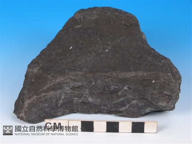 硬頁岩藏品圖，第1張