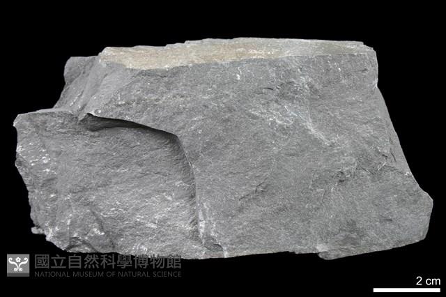 變質砂岩藏品圖，第1張