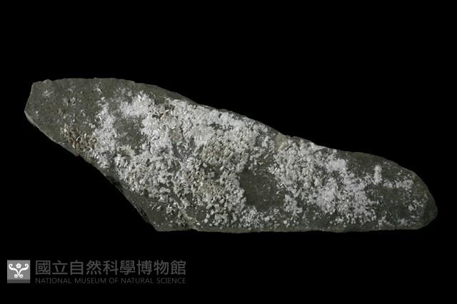 石膏藏品圖，第1張