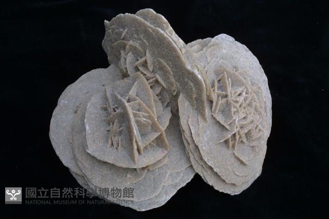 石膏藏品圖，第1張