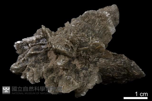 石膏藏品圖，第2張