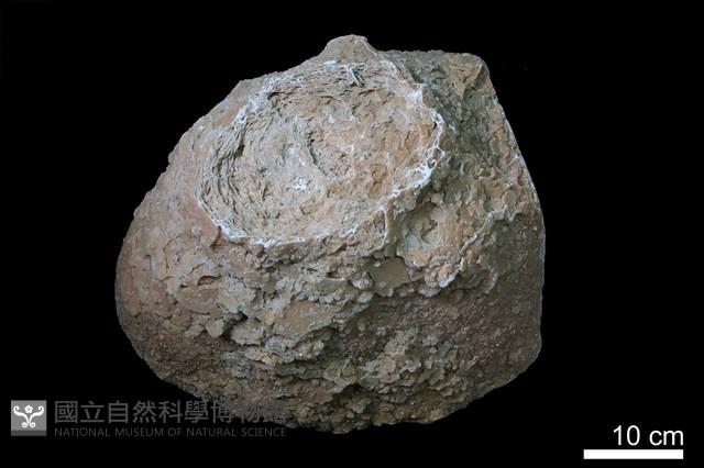 石灰華藏品圖，第1張