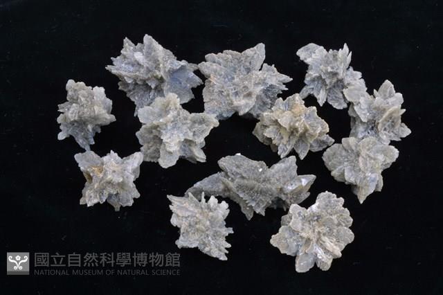 石膏藏品圖，第1張