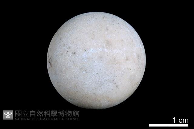 洞穴珍珠藏品圖，第1張