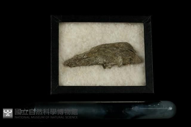 鋰蒙脫石 藏品圖，第1張