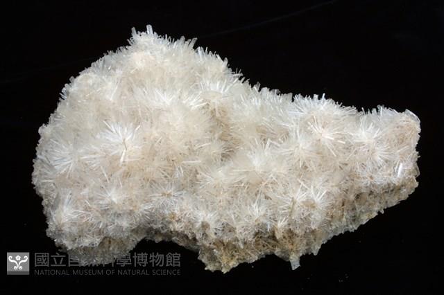 透石膏藏品圖，第1張