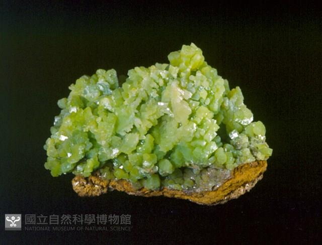 磷氯鉛礦藏品圖，第1張