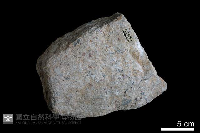 礫岩藏品圖，第1張