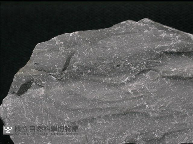 大理岩藏品圖，第1張
