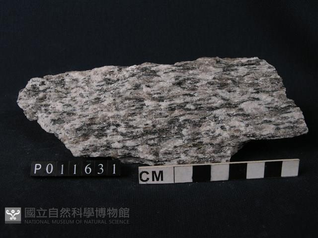 正片麻岩藏品圖，第1張
