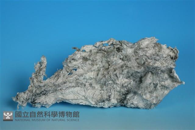 鎂鋁皮石藏品圖，第1張