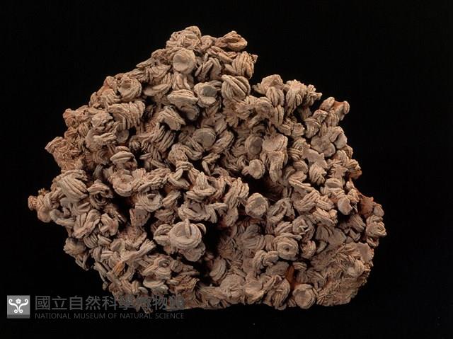 重晶石 藏品圖，第1張