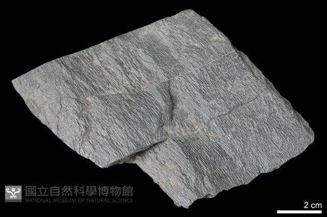 片岩藏品圖，第1張