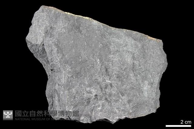 變質砂岩藏品圖，第1張