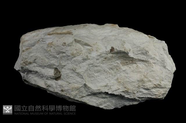 白雲石藏品圖，第1張