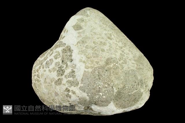 火山角礫岩藏品圖，第1張