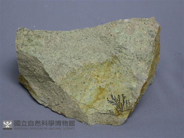 白崗岩藏品圖，第1張