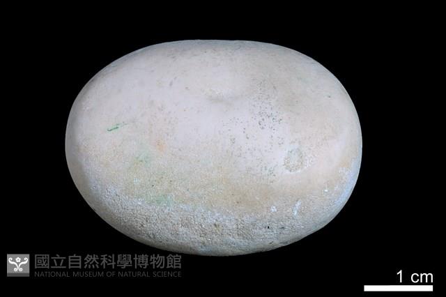 洞穴珍珠藏品圖，第1張