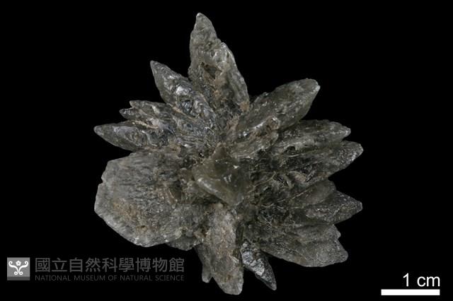 石膏藏品圖，第1張