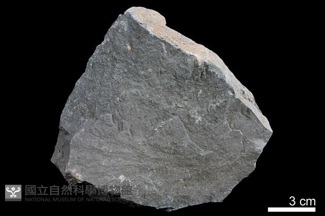 粉砂岩藏品圖，第1張