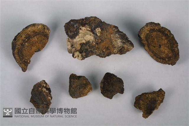 錳核藏品圖，第1張