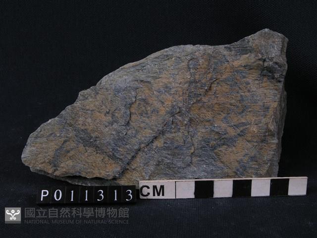 藍色片岩藏品圖，第1張
