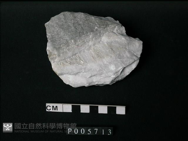 大理岩藏品圖，第1張