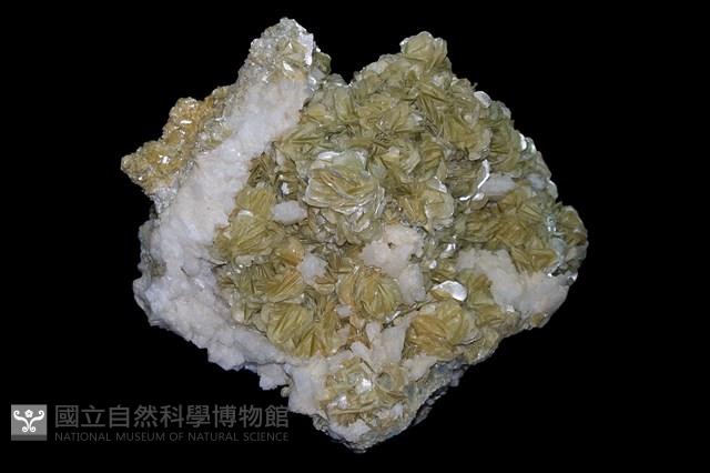 白雲母 藏品圖，第1張