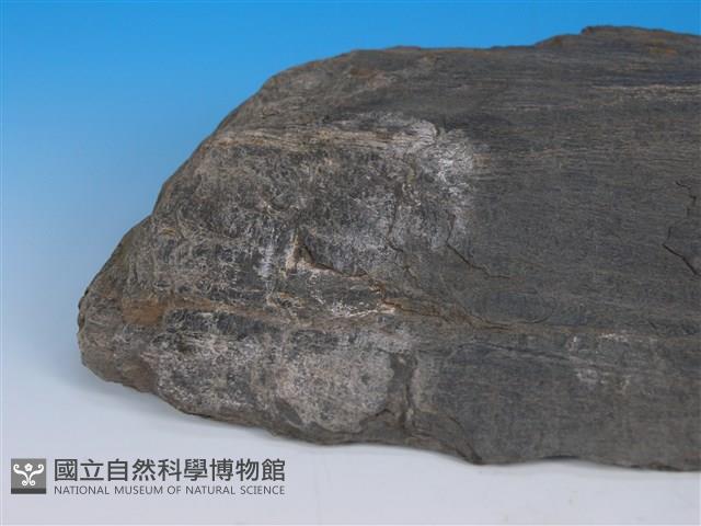 黑色片岩藏品圖，第1張