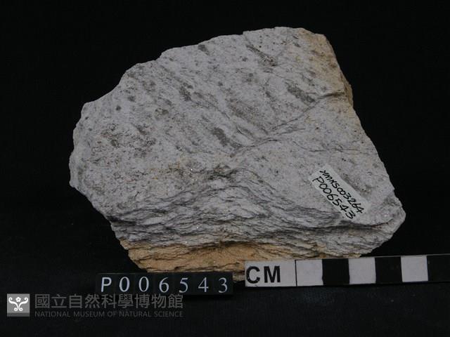 石英片岩藏品圖，第1張