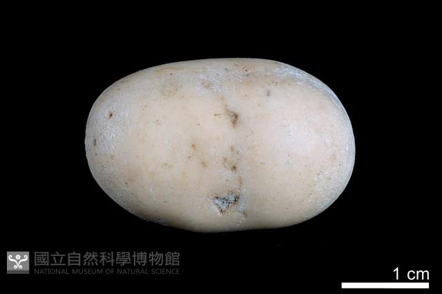洞穴珍珠藏品圖，第1張