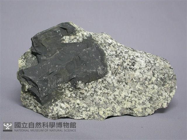 混合岩藏品圖，第1張