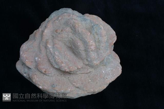 重晶石藏品圖，第1張