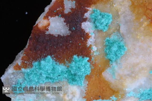 水膽礬藏品圖，第1張
