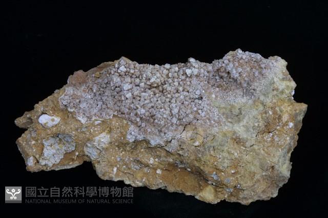 北投石藏品圖，第1張
