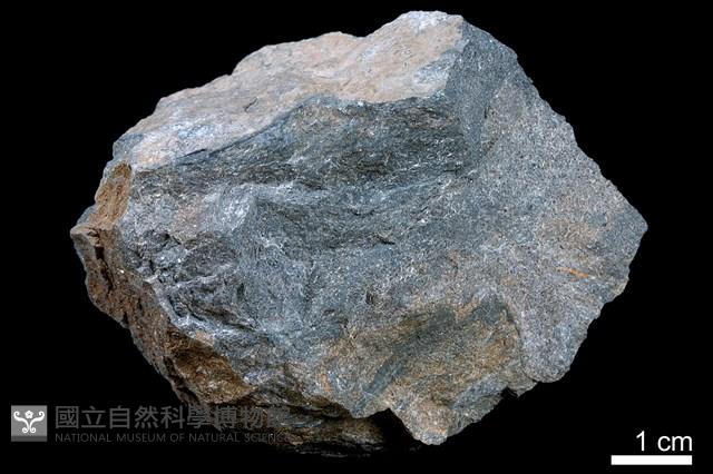 泥灰岩藏品圖，第1張