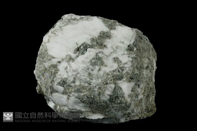 石膏藏品圖，第1張